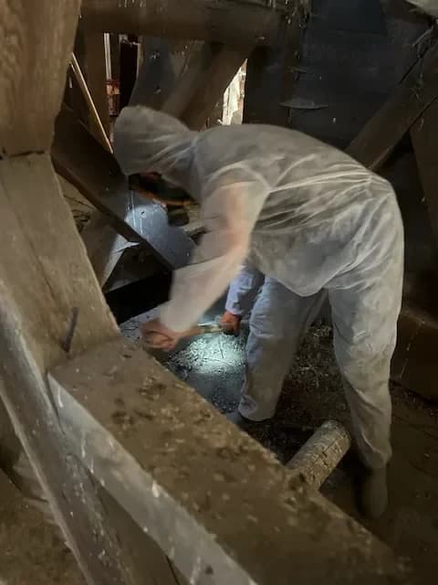 Technicien en combinaison nettoyant une zone souillée par les pigeons