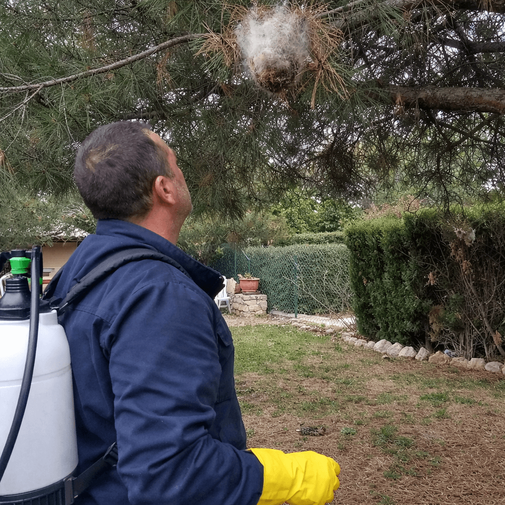 1 - DIAGNOSTIC COMPLET