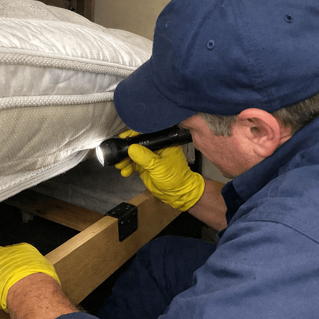 1 - DIAGNOSTIC COMPLET